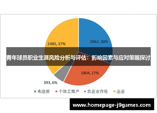 青年球员职业生涯风险分析与评估：影响因素与应对策略探讨